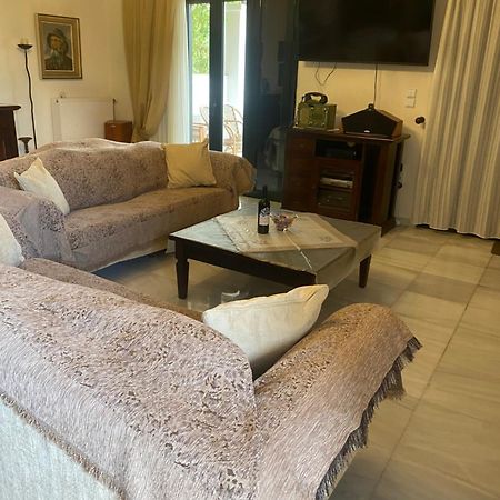 Villa Artemis Aegina エクステリア 写真